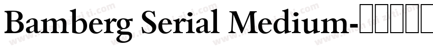 Bamberg Serial Medium字体转换